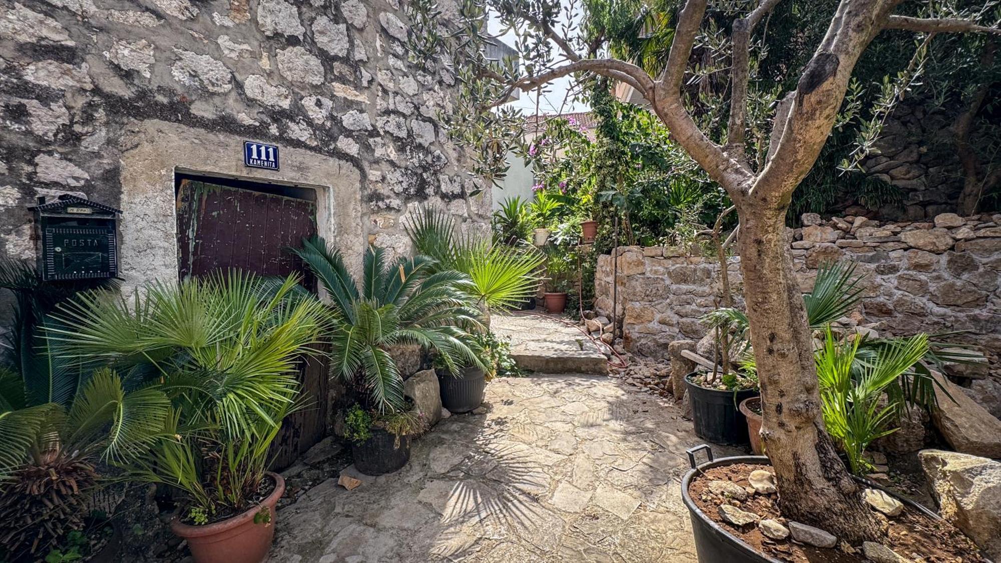 Cozy Guest House Kamenita Split Bagian luar foto
